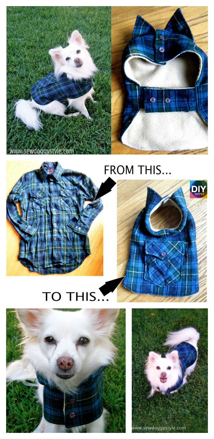diy4ever- DIY Pet Coat Pattern & Tutorial 