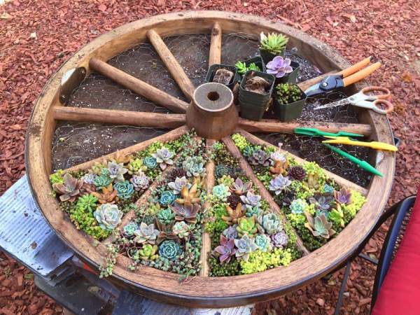 10 Most Beautiful DIY Garden Planter Ideas1