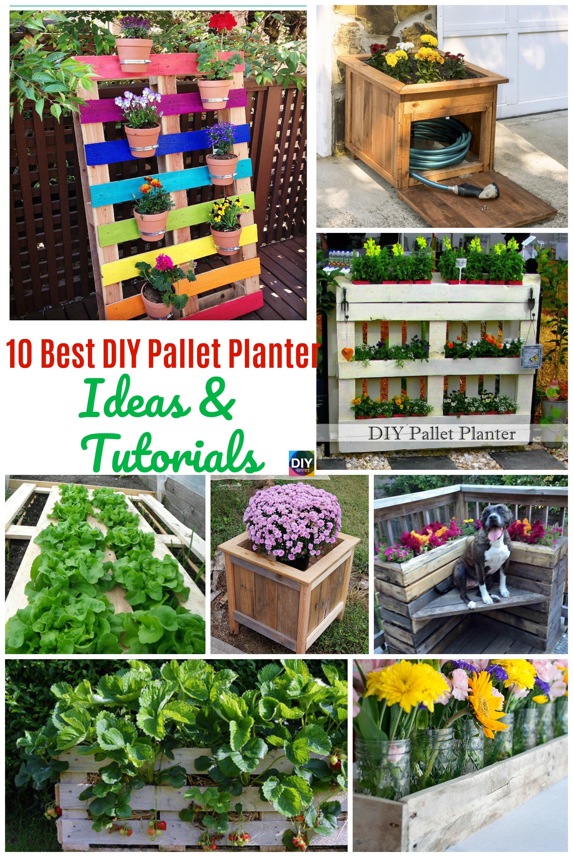 10 Best DIY Pallet Planter Ideas & Tutorials
