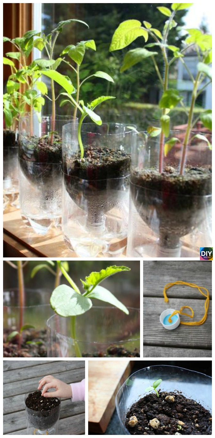 DIY Self-Watering Pots Step by StepTutorial 