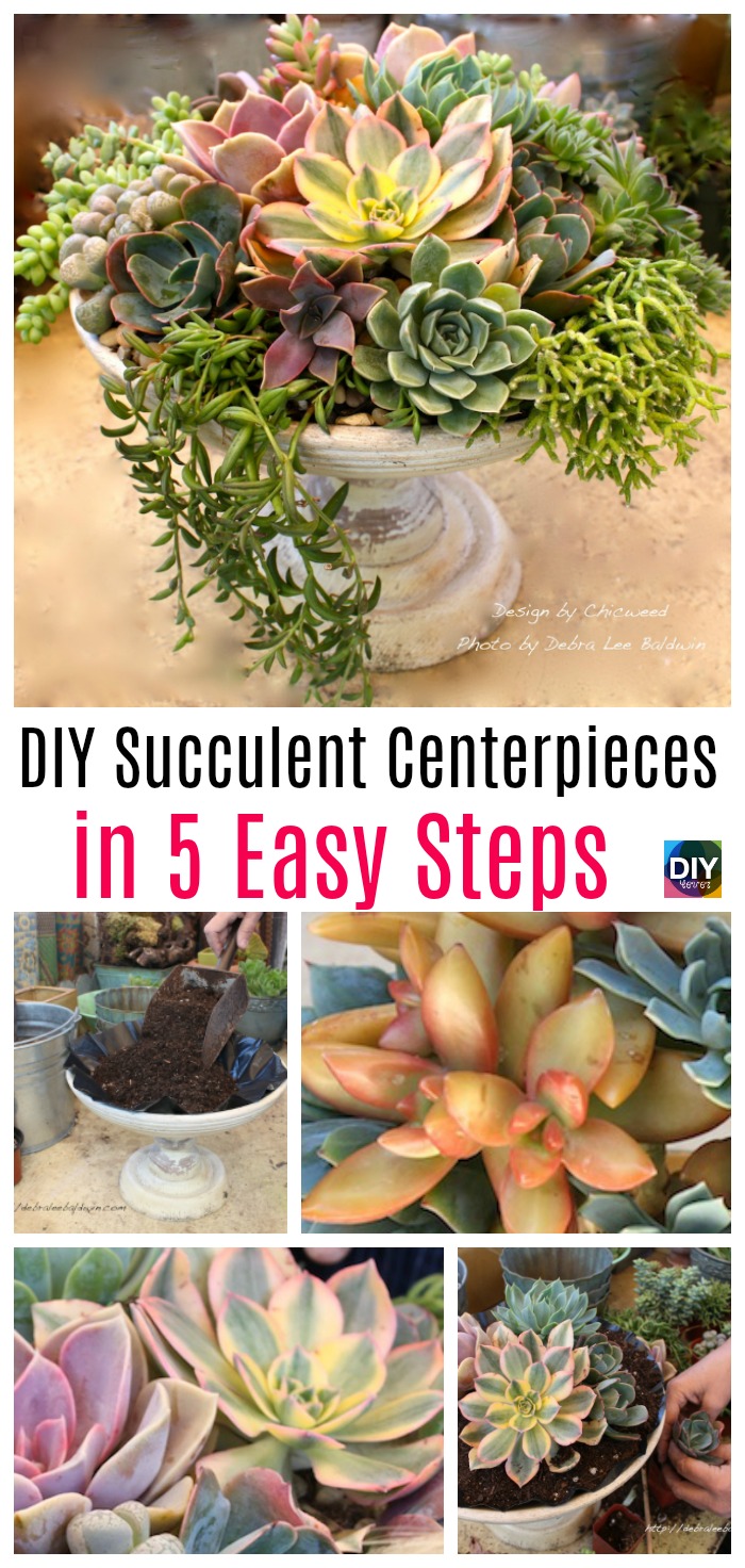 diy4ever- DIY Succulent Centerpieces in 5 Easy Steps 