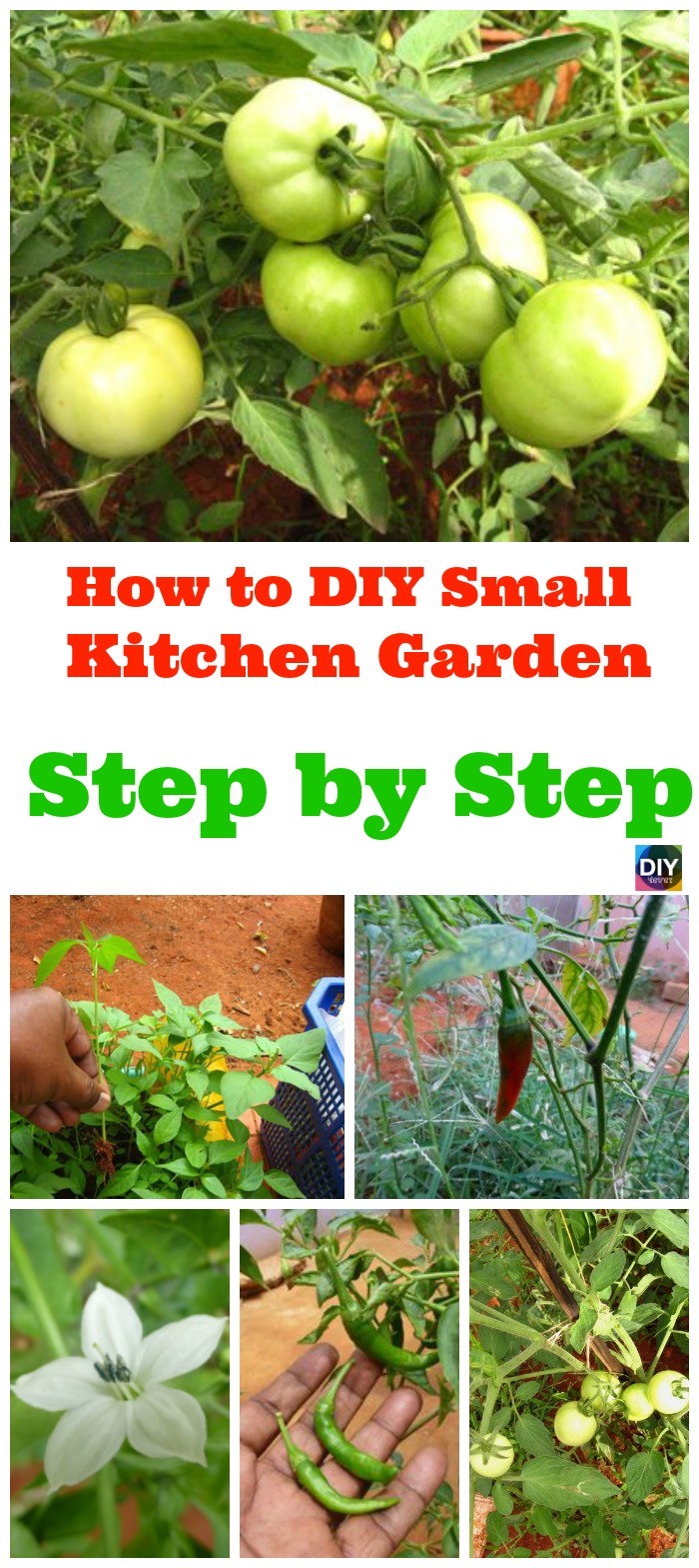 diy4ever- How to DIY Small Kitchen Garden in Your Backyard 