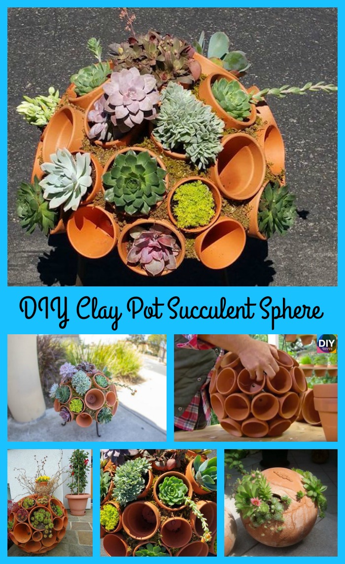 diy4ever- DIY Succulent Sphere Tutorial - Use Clay Pot