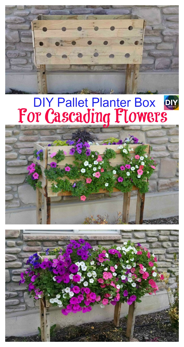 diy4ever-DIY Pallet Planter Box For Cascading Flowers