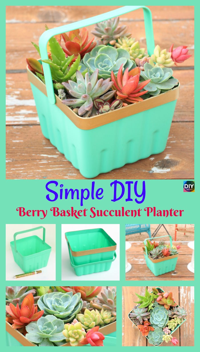diy4ever- Simple DIY Basket Succulent Planter