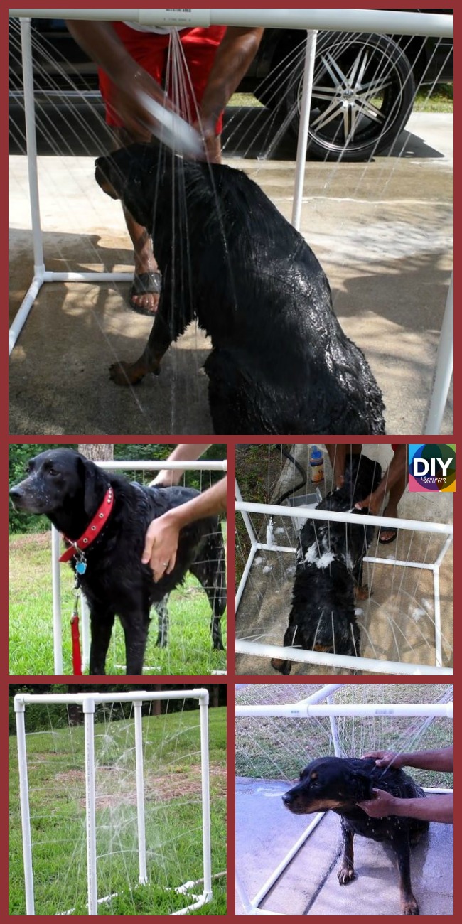 diy4ever-DIY PVC Dog Washer Tutorial - Self Standing