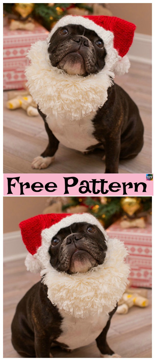diy4ever-Knit Dog Santa Hat - Free patternt