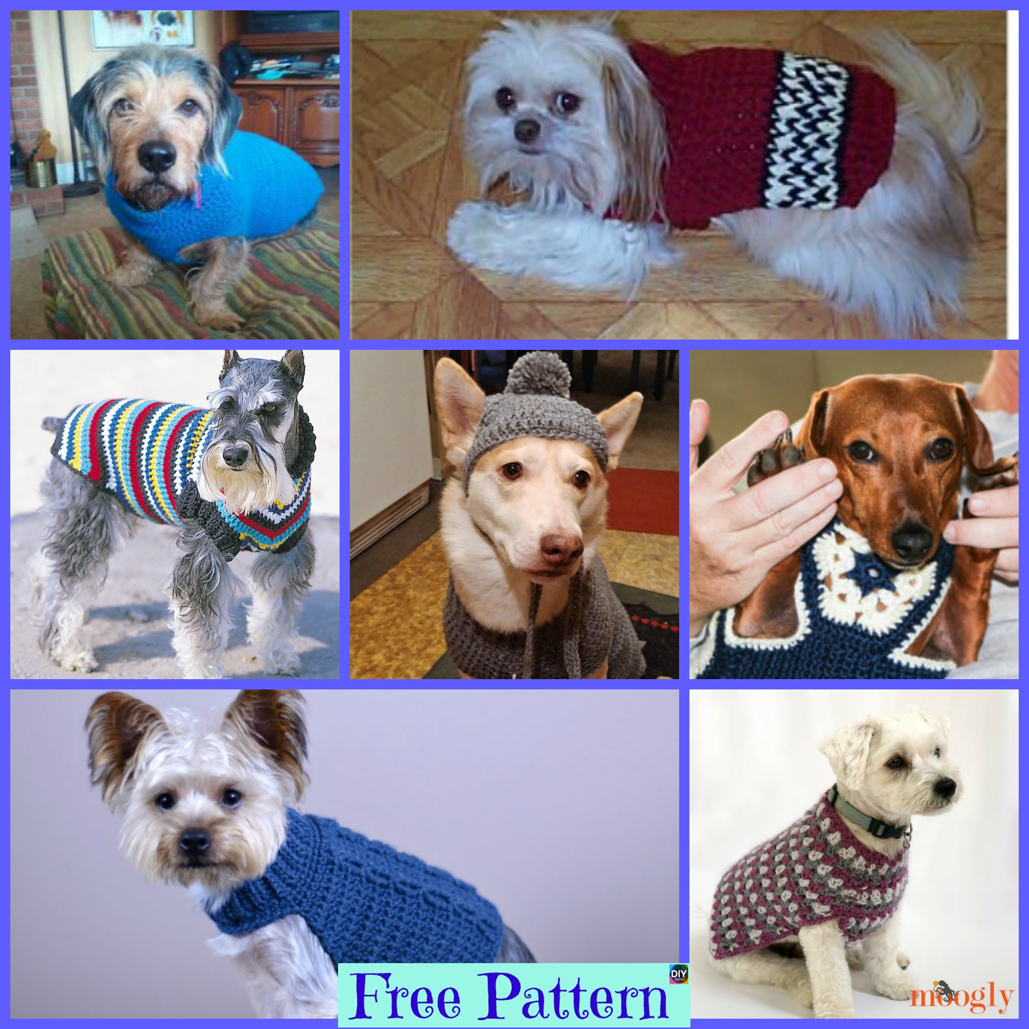 diy4ever-Crocheted Dog Sweater - Free Patterns