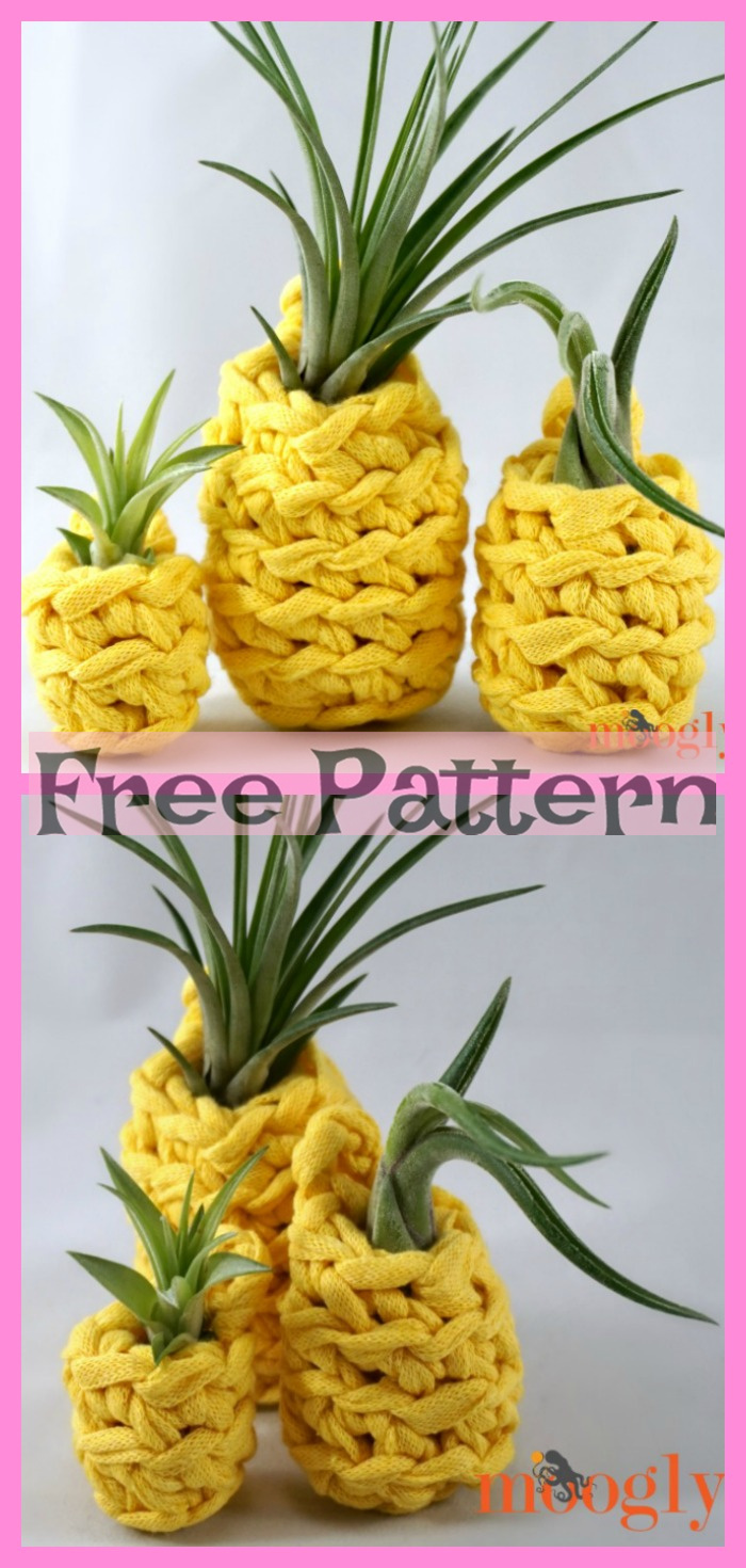 diy4ever-Crochet Pineapple Plant Hangers - Free Pattern 